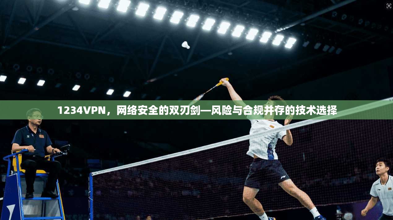 1234VPN，网络安全的双刃剑—风险与合规并存的技术选择
