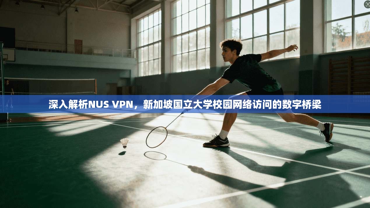 深入解析NUS VPN，新加坡国立大学校园网络访问的数字桥梁