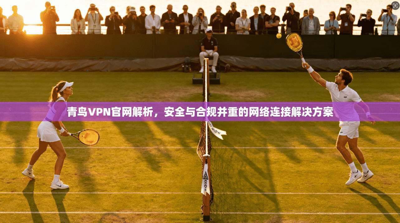 青鸟VPN官网解析，安全与合规并重的网络连接解决方案