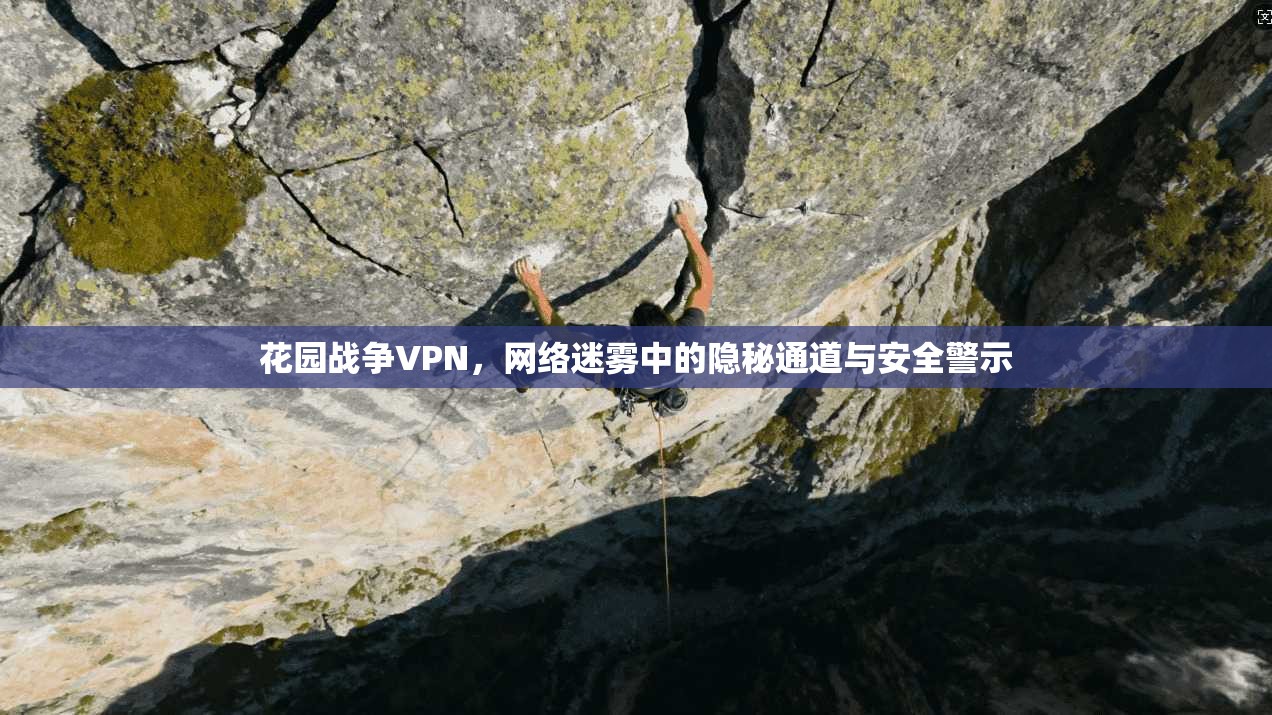 花园战争VPN，网络迷雾中的隐秘通道与安全警示