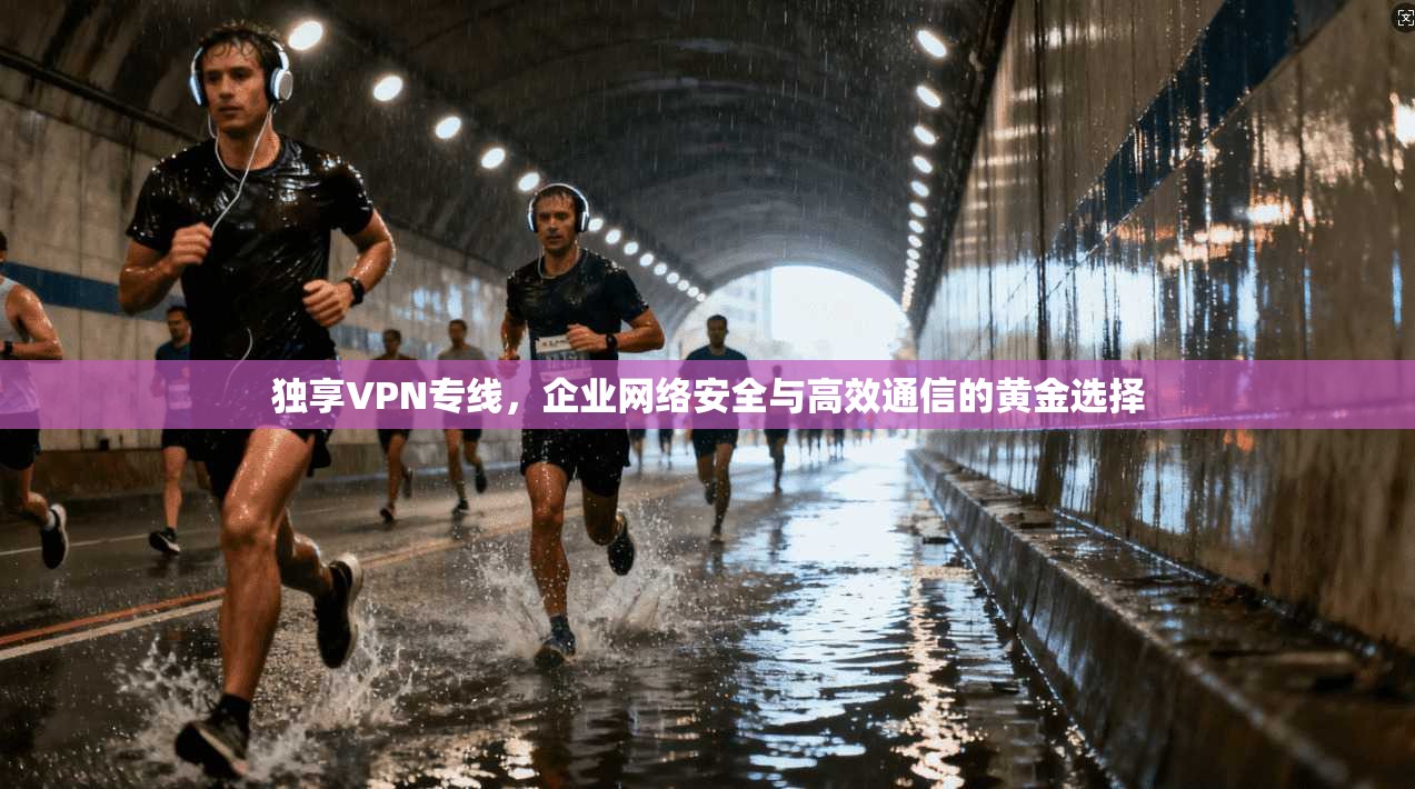 独享VPN专线，企业网络安全与高效通信的黄金选择