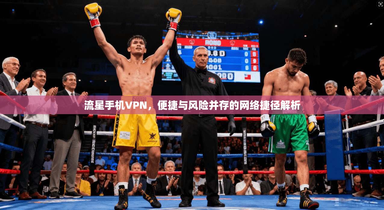流星手机VPN，便捷与风险并存的网络捷径解析