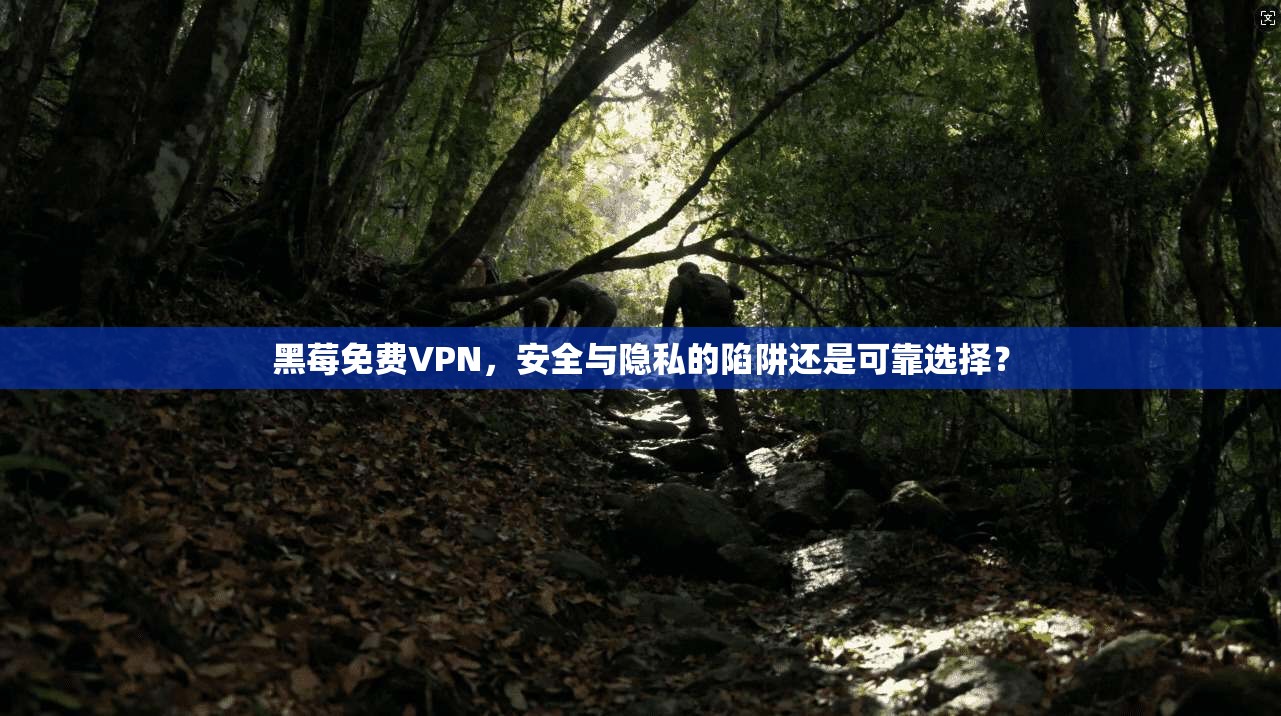 黑莓免费VPN，安全与隐私的陷阱还是可靠选择？