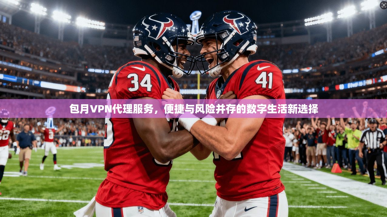包月VPN代理服务，便捷与风险并存的数字生活新选择