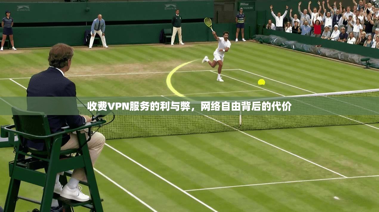 收费VPN服务的利与弊，网络自由背后的代价