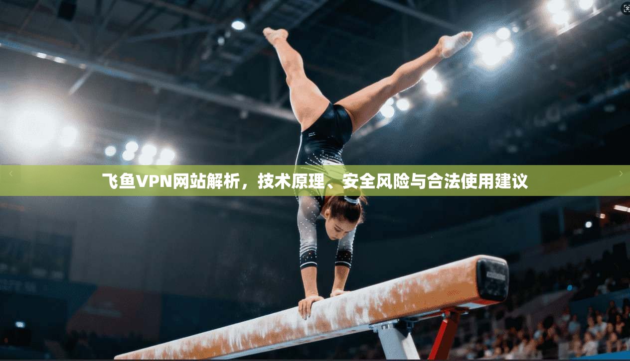 飞鱼VPN网站解析，技术原理、安全风险与合法使用建议