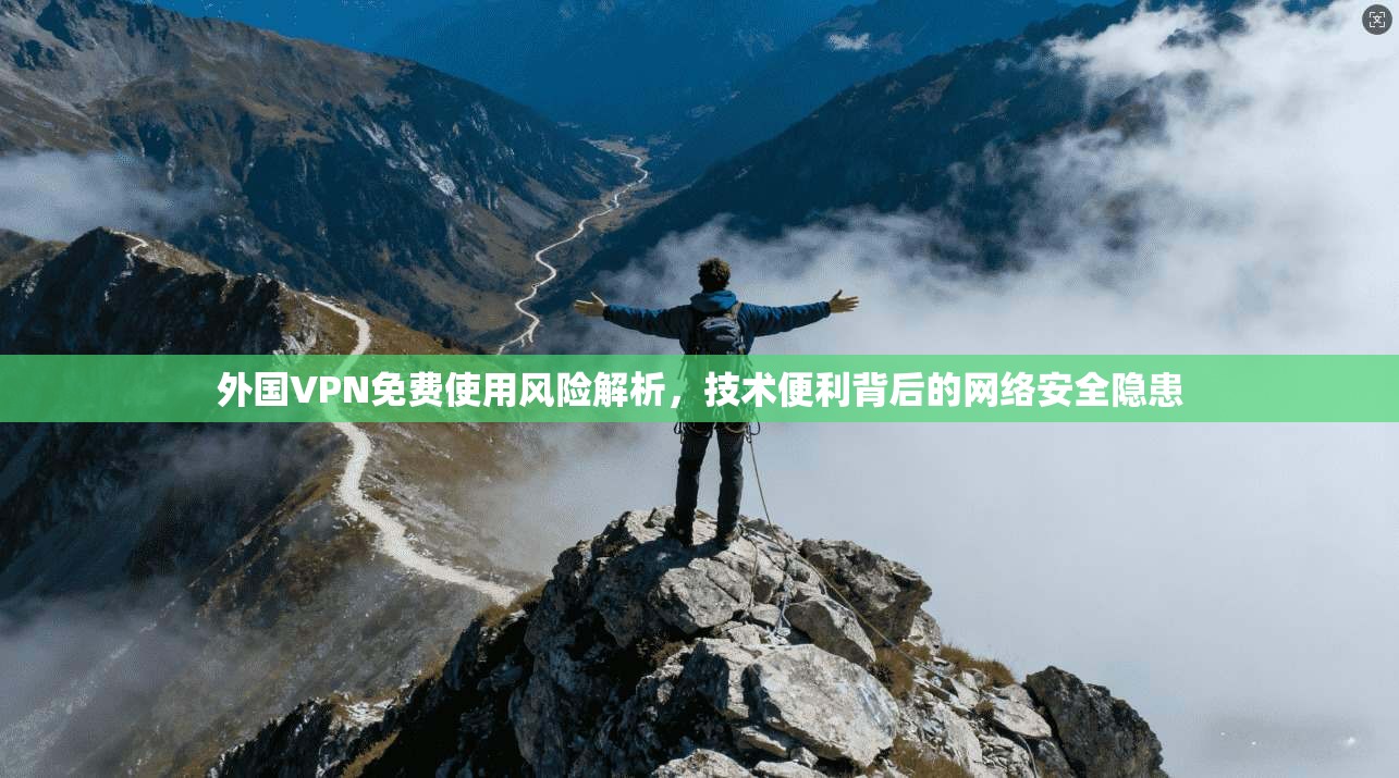 外国VPN免费使用风险解析，技术便利背后的网络安全隐患