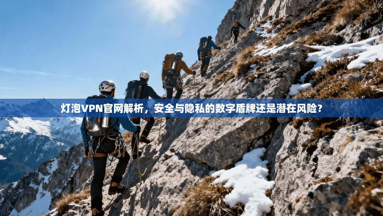 灯泡VPN官网解析，安全与隐私的数字盾牌还是潜在风险？