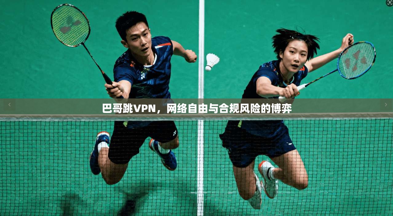 巴哥跳VPN，网络自由与合规风险的博弈