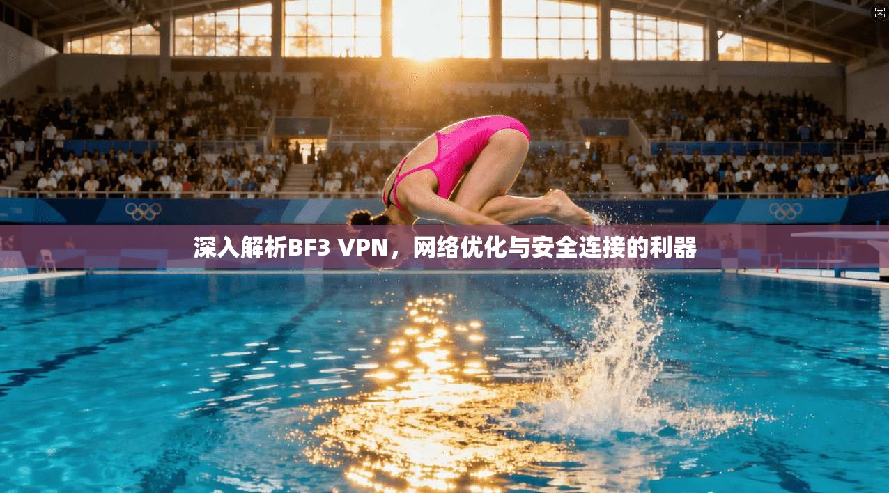 深入解析BF3 VPN，网络优化与安全连接的利器