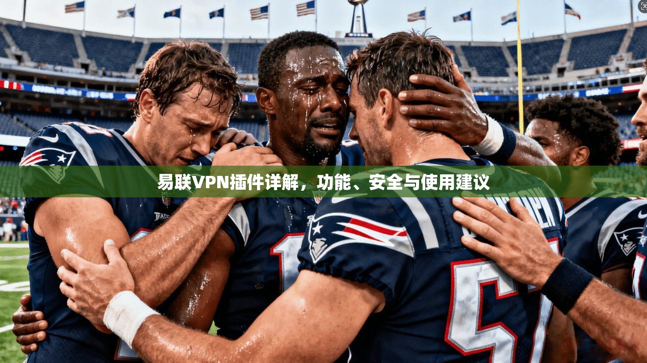 易联VPN插件详解，功能、安全与使用建议