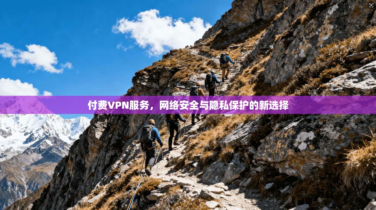 付费VPN服务，网络安全与隐私保护的新选择