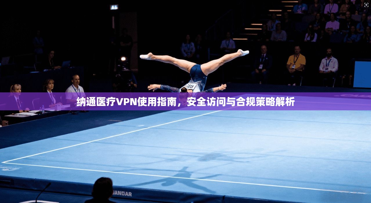 纳通医疗VPN使用指南，安全访问与合规策略解析