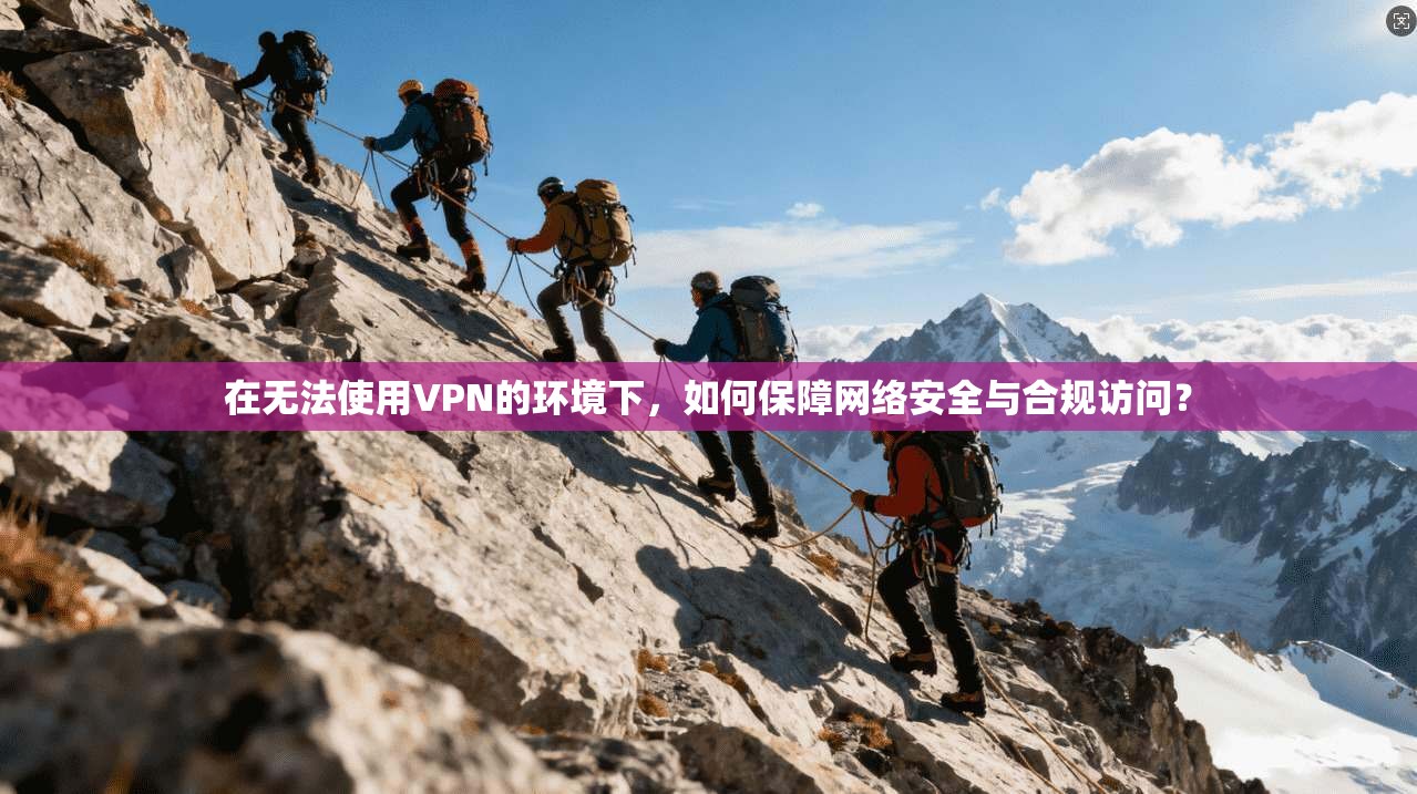 在无法使用VPN的环境下，如何保障网络安全与合规访问？