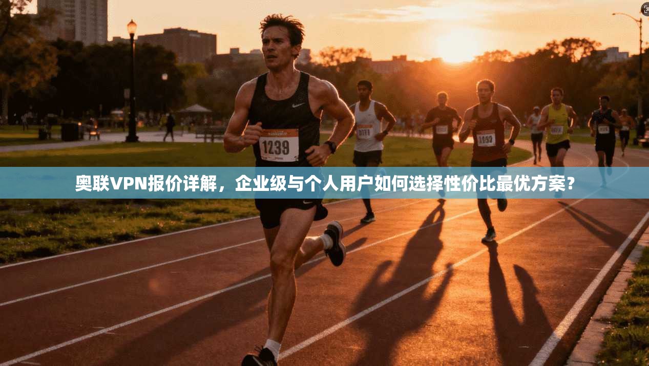 奥联VPN报价详解，企业级与个人用户如何选择性价比最优方案？