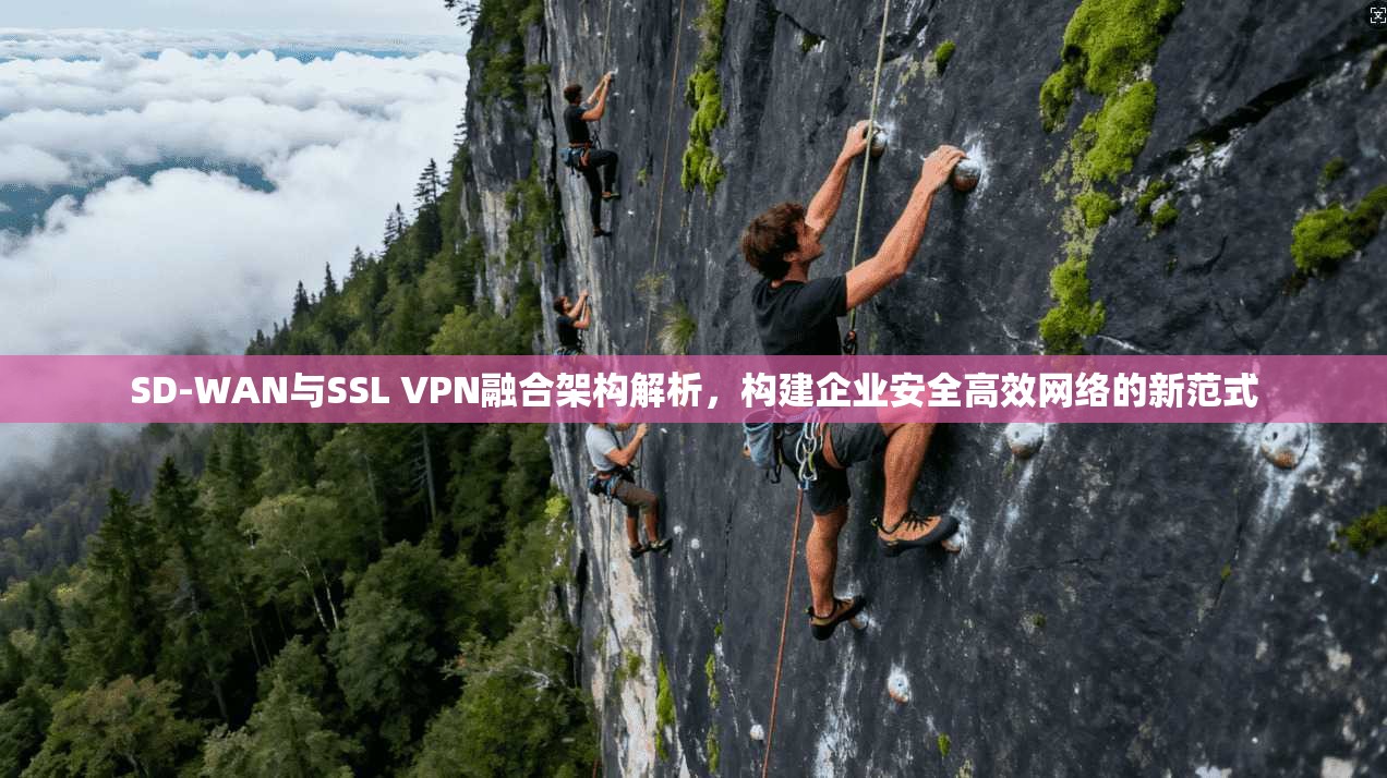 SD-WAN与SSL VPN融合架构解析，构建企业安全高效网络的新范式