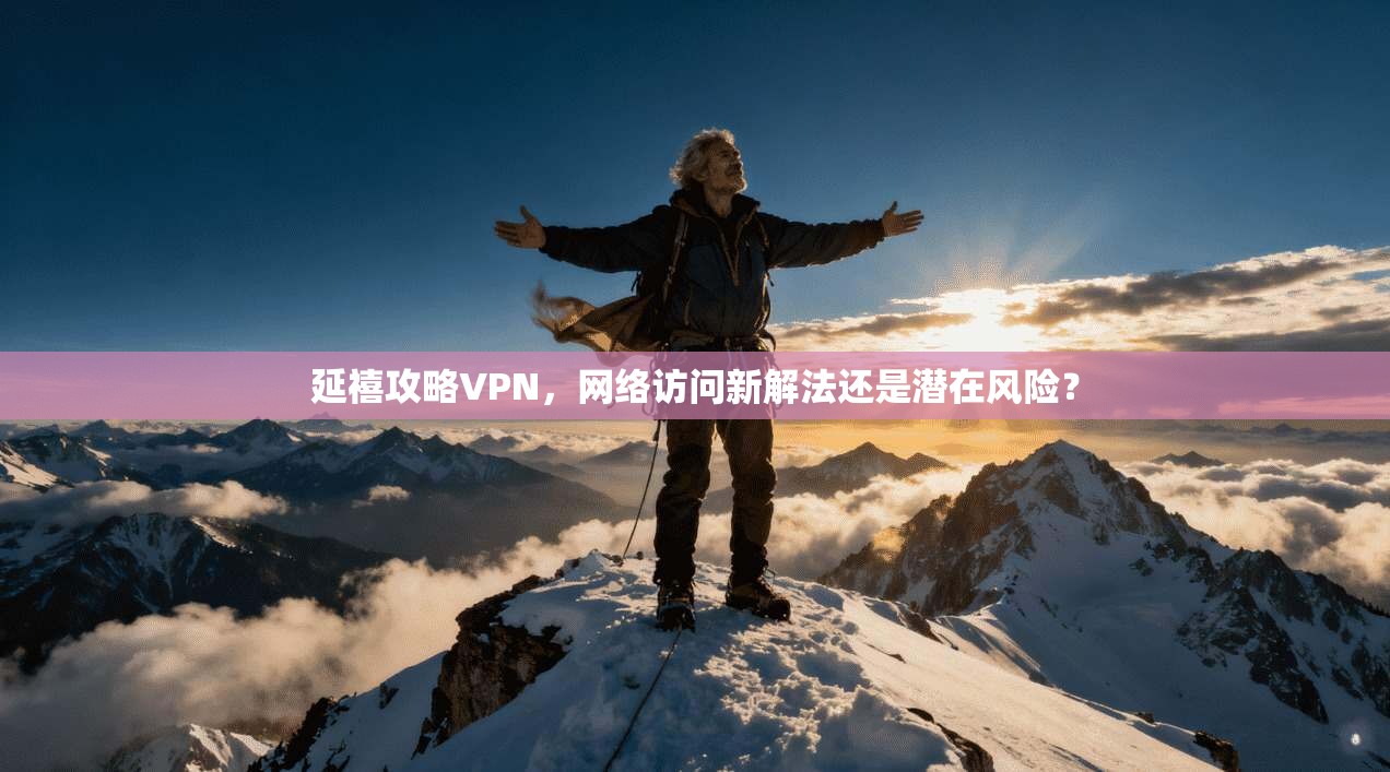 延禧攻略VPN，网络访问新解法还是潜在风险？
