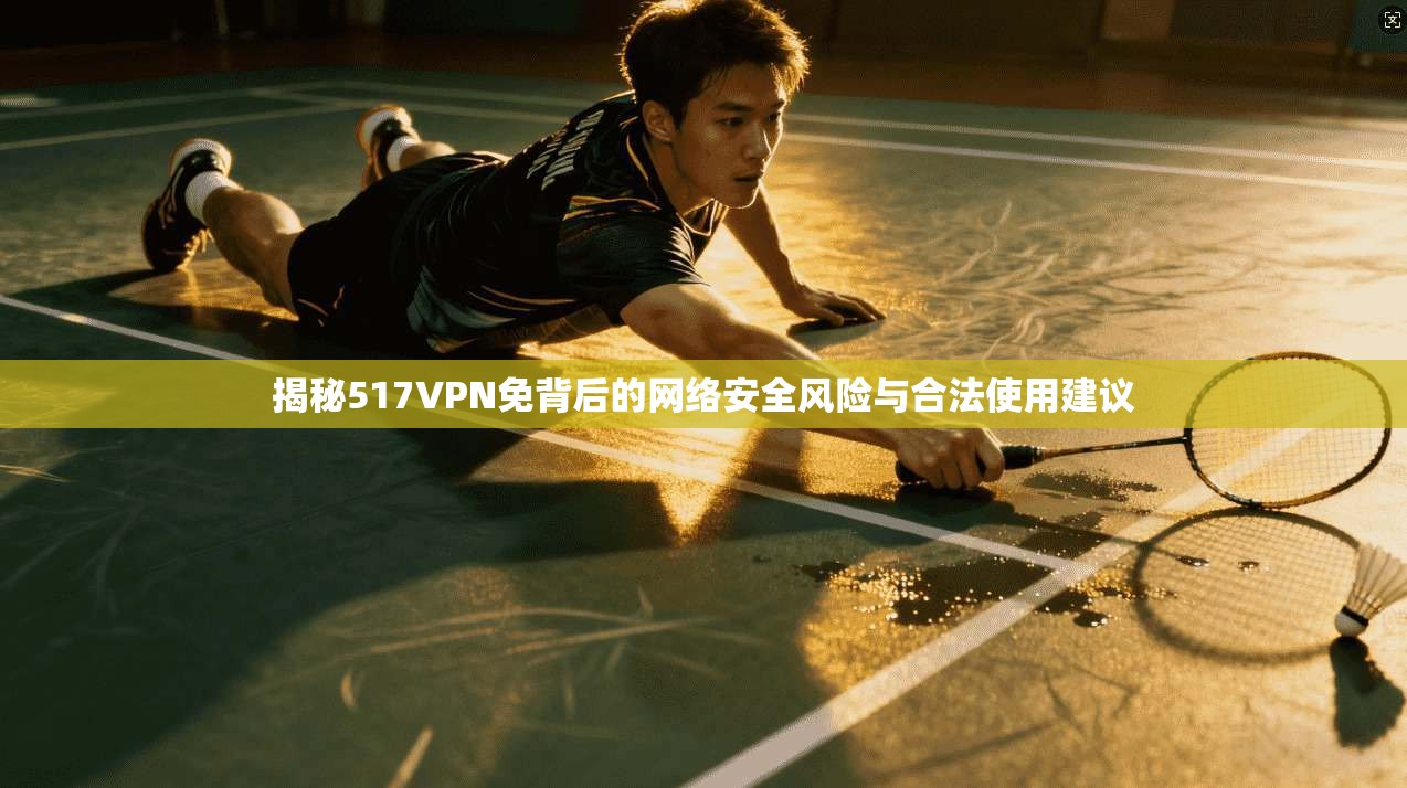 揭秘517VPN免背后的网络安全风险与合法使用建议