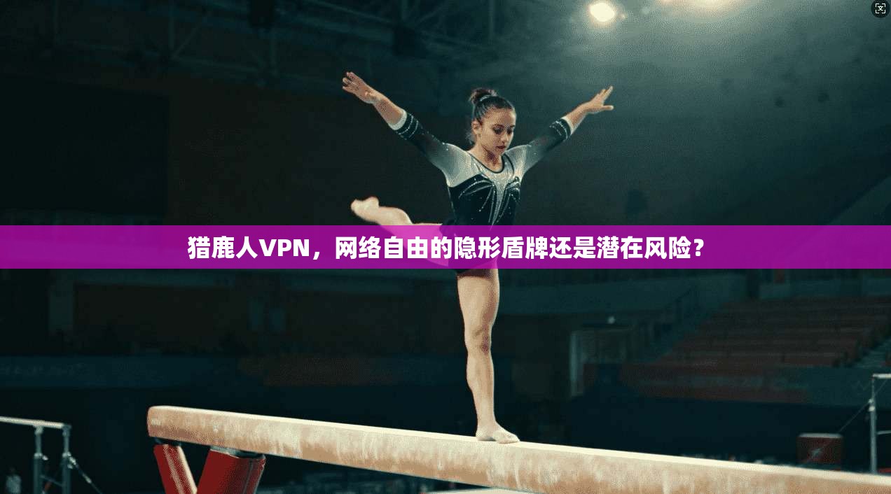 猎鹿人VPN，网络自由的隐形盾牌还是潜在风险？