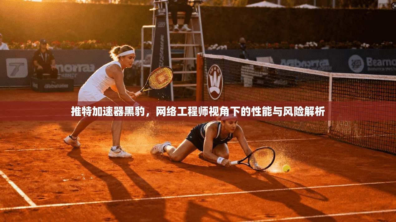 推特加速器黑豹，网络工程师视角下的性能与风险解析