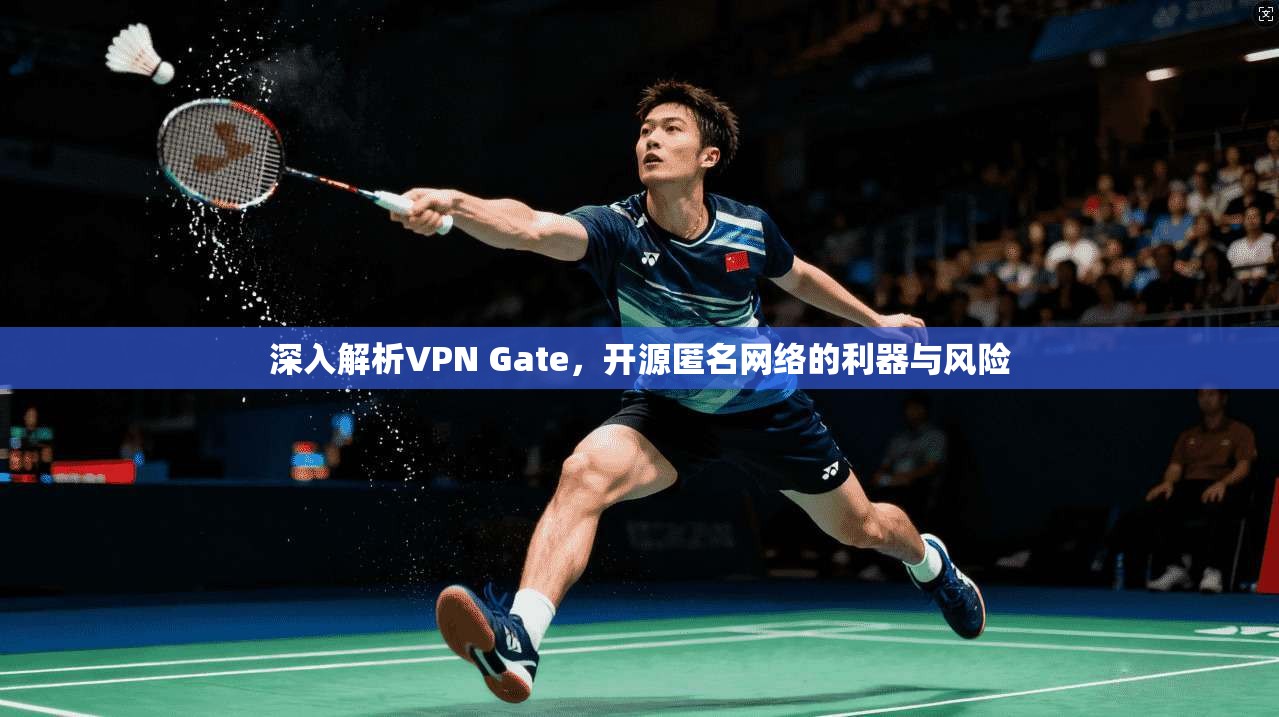 深入解析VPN Gate，开源匿名网络的利器与风险