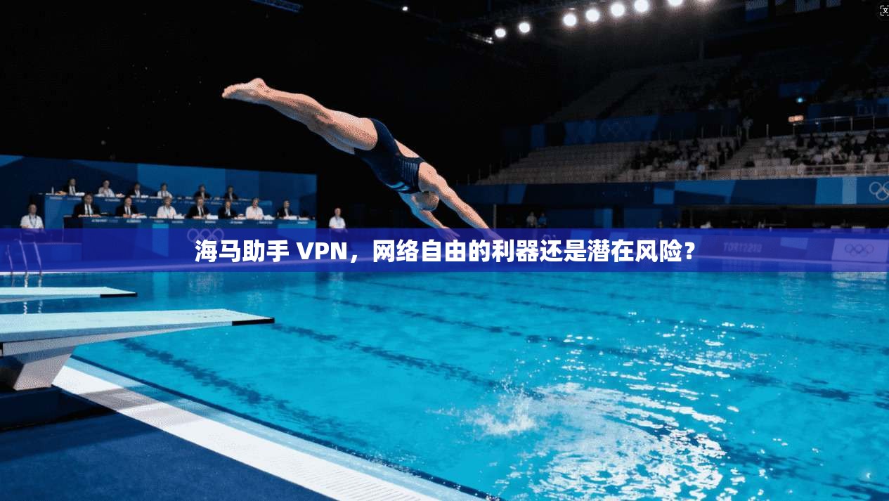 海马助手 VPN，网络自由的利器还是潜在风险？
