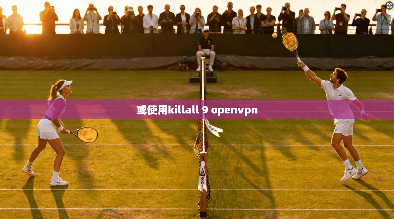或使用killall 9 openvpn
