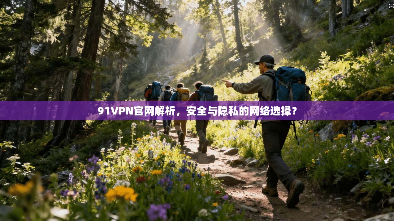 91VPN官网解析，安全与隐私的网络选择？