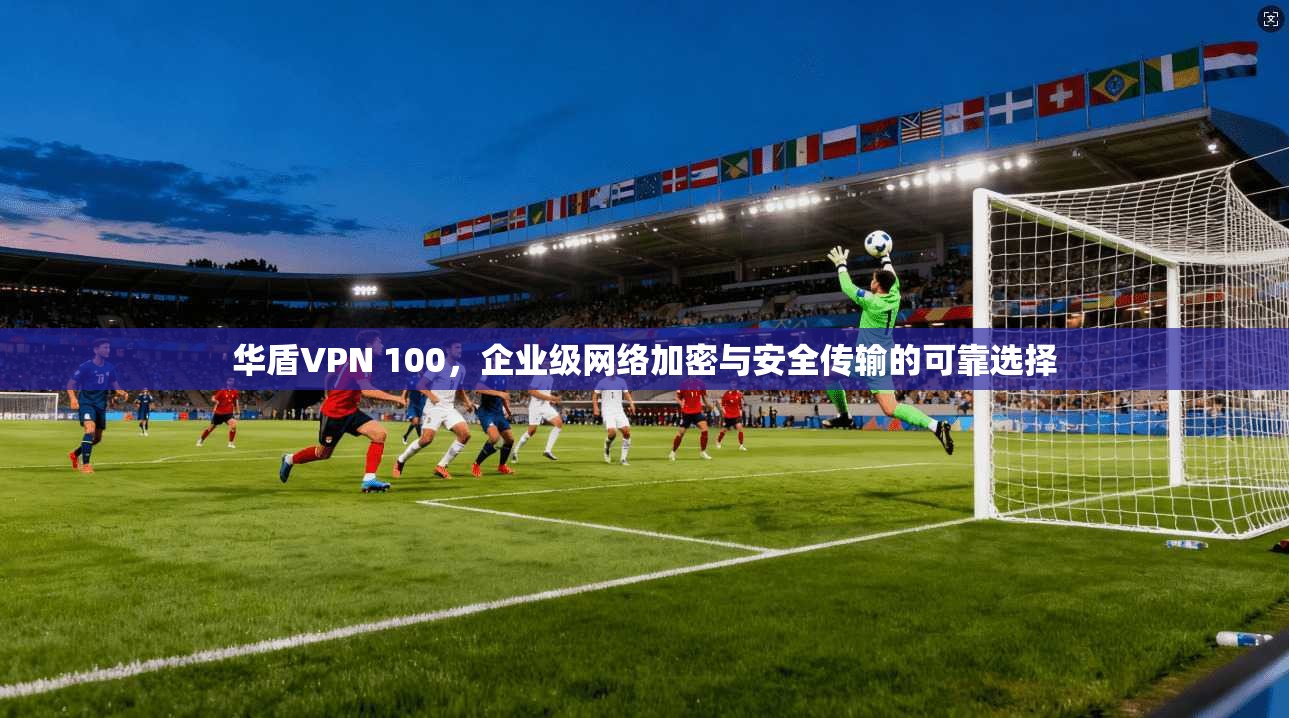 华盾VPN 100，企业级网络加密与安全传输的可靠选择