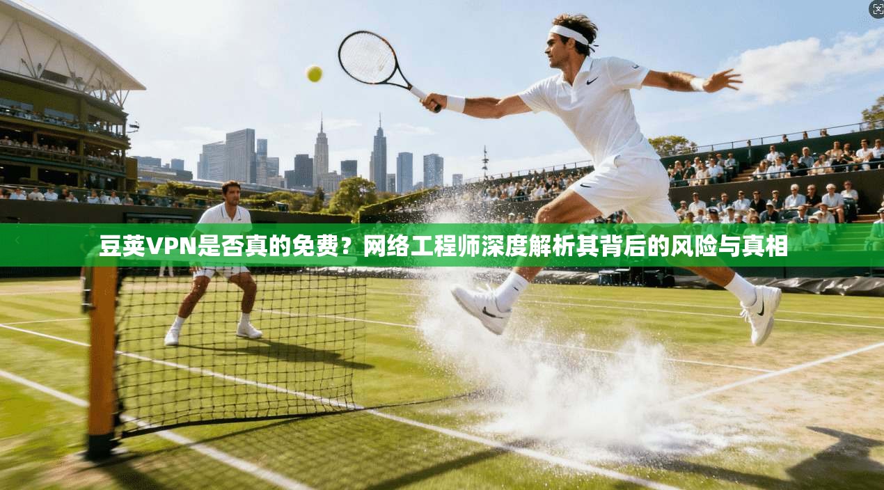豆荚VPN是否真的免费？网络工程师深度解析其背后的风险与真相