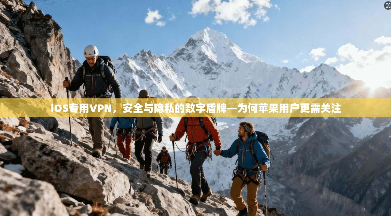 iOS专用VPN，安全与隐私的数字盾牌—为何苹果用户更需关注