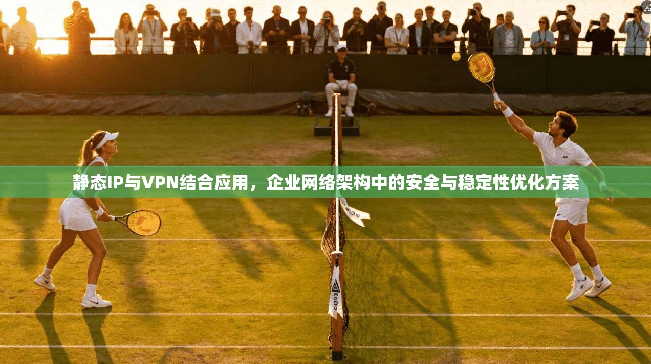 静态IP与VPN结合应用，企业网络架构中的安全与稳定性优化方案