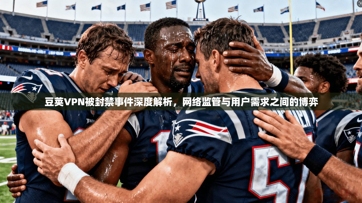 豆荚VPN被封禁事件深度解析，网络监管与用户需求之间的博弈