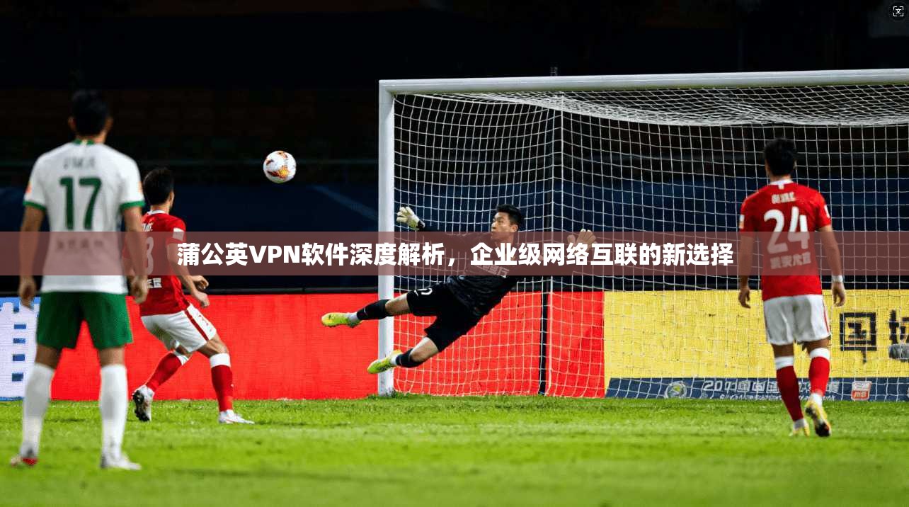 蒲公英VPN软件深度解析，企业级网络互联的新选择