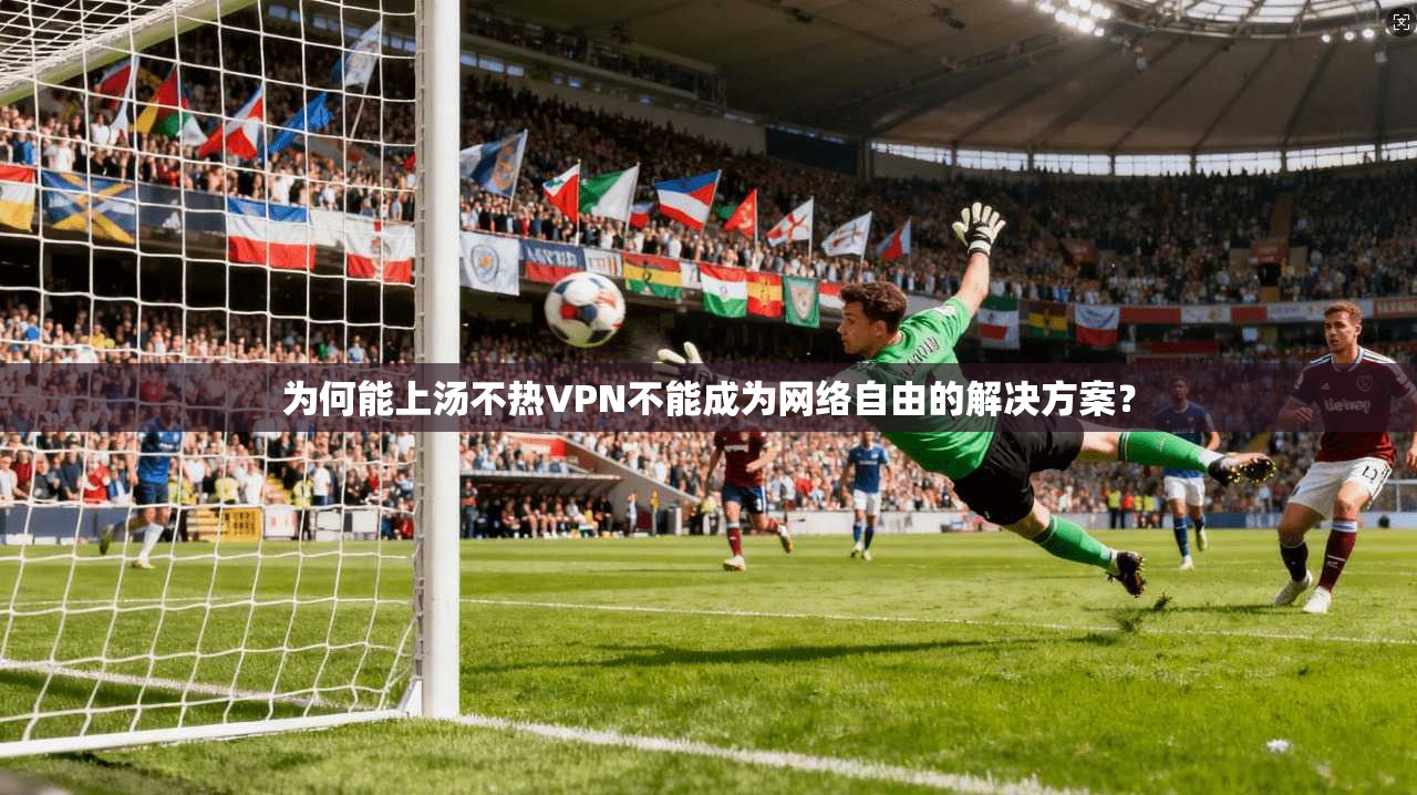 为何能上汤不热VPN不能成为网络自由的解决方案？
