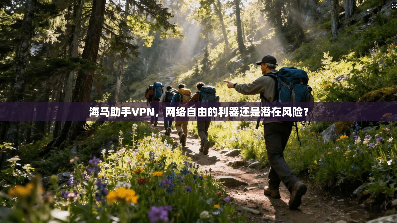 海马助手VPN，网络自由的利器还是潜在风险？