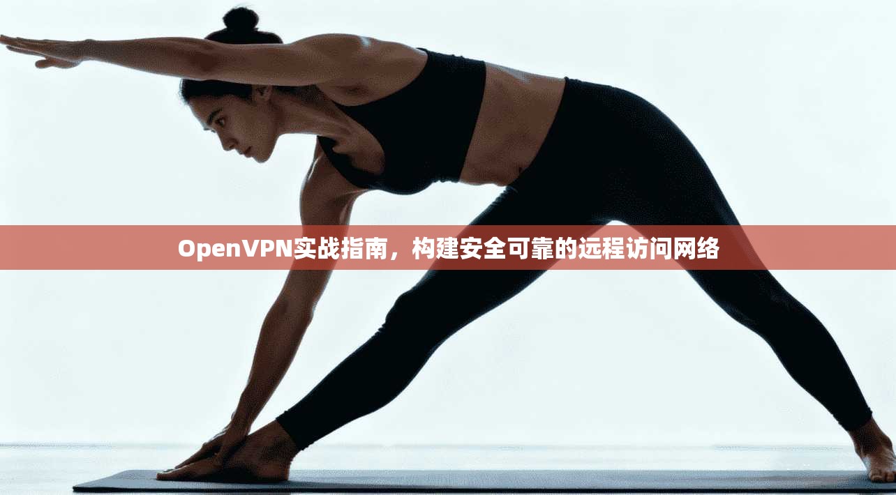 OpenVPN实战指南，构建安全可靠的远程访问网络