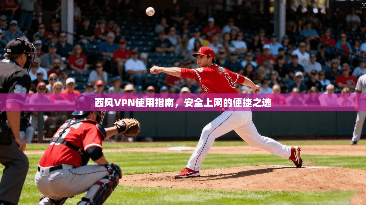 西风VPN使用指南，安全上网的便捷之选