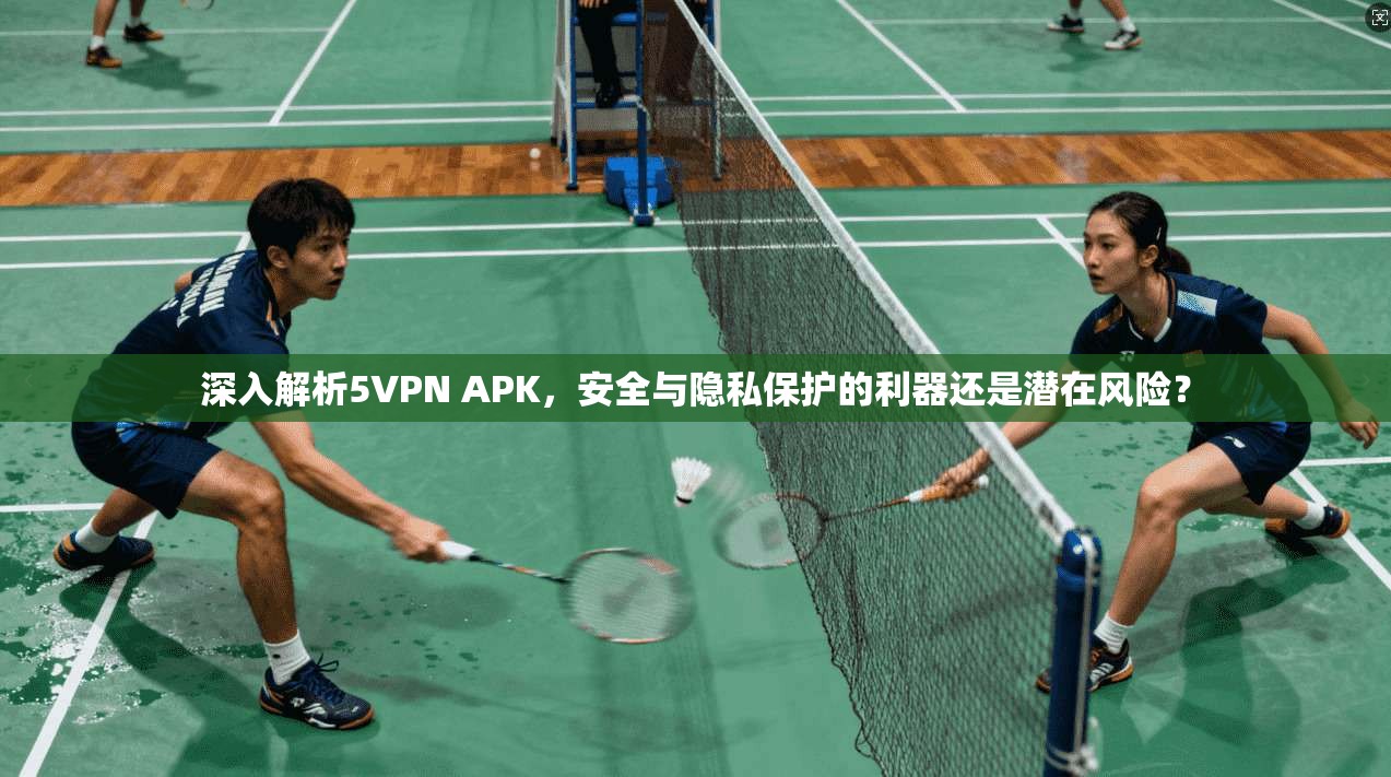 深入解析5VPN APK，安全与隐私保护的利器还是潜在风险？
