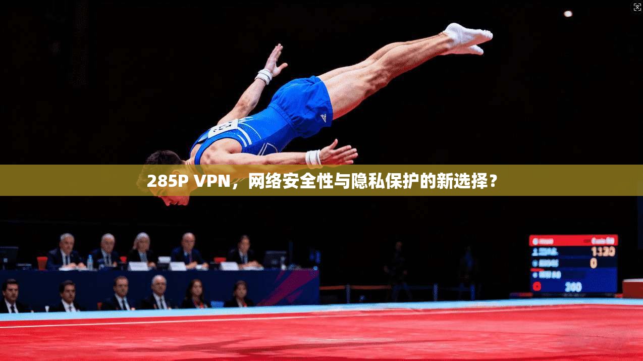 285P VPN，网络安全性与隐私保护的新选择？