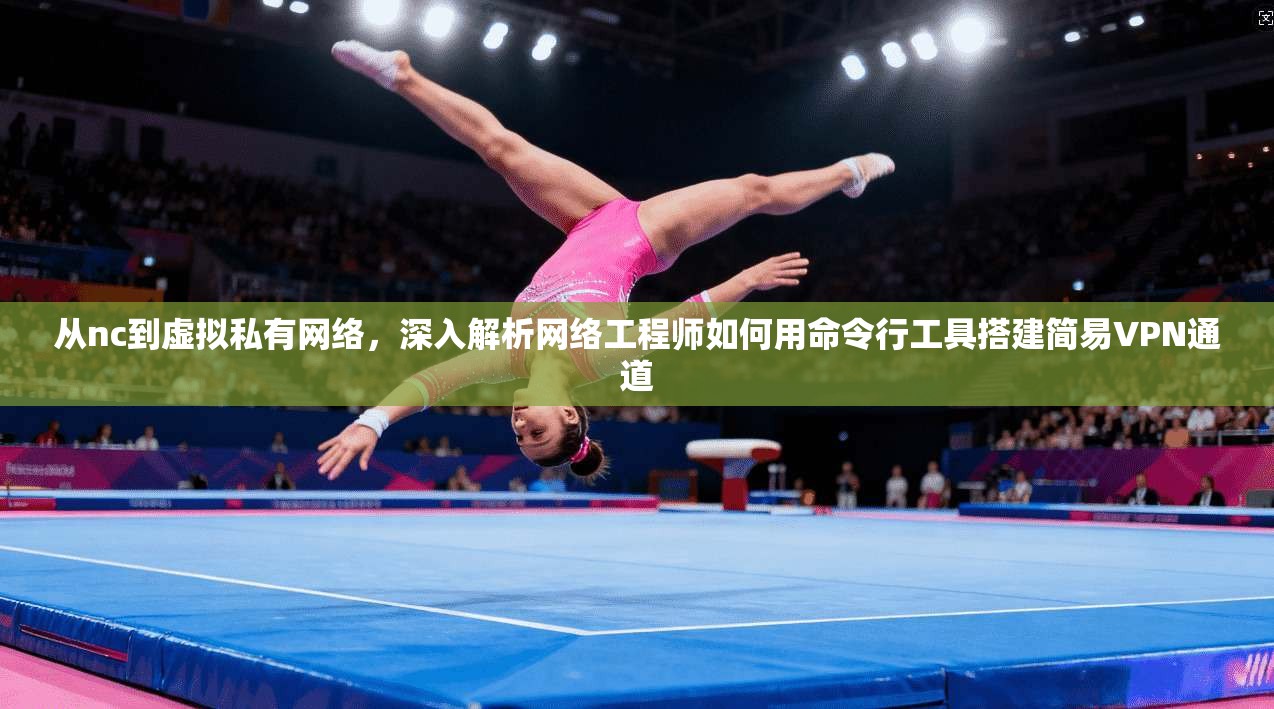 从nc到虚拟私有网络，深入解析网络工程师如何用命令行工具搭建简易VPN通道