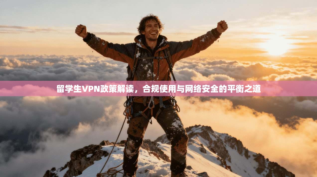 留学生VPN政策解读，合规使用与网络安全的平衡之道