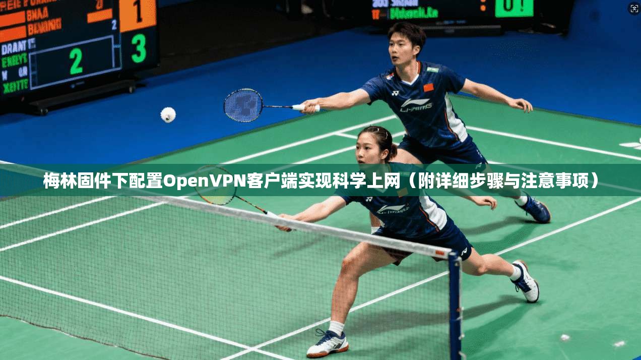 梅林固件下配置OpenVPN客户端实现科学上网（附详细步骤与注意事项）