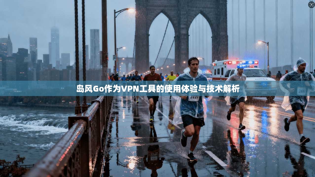 岛风Go作为VPN工具的使用体验与技术解析