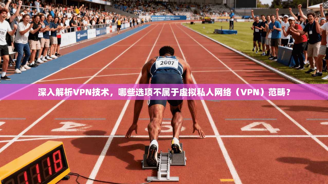 深入解析VPN技术，哪些选项不属于虚拟私人网络（VPN）范畴？