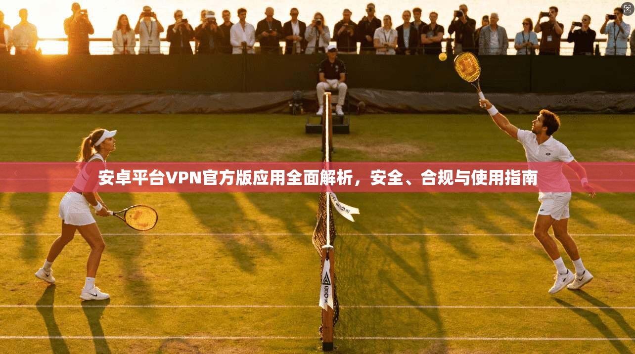 安卓平台VPN官方版应用全面解析，安全、合规与使用指南