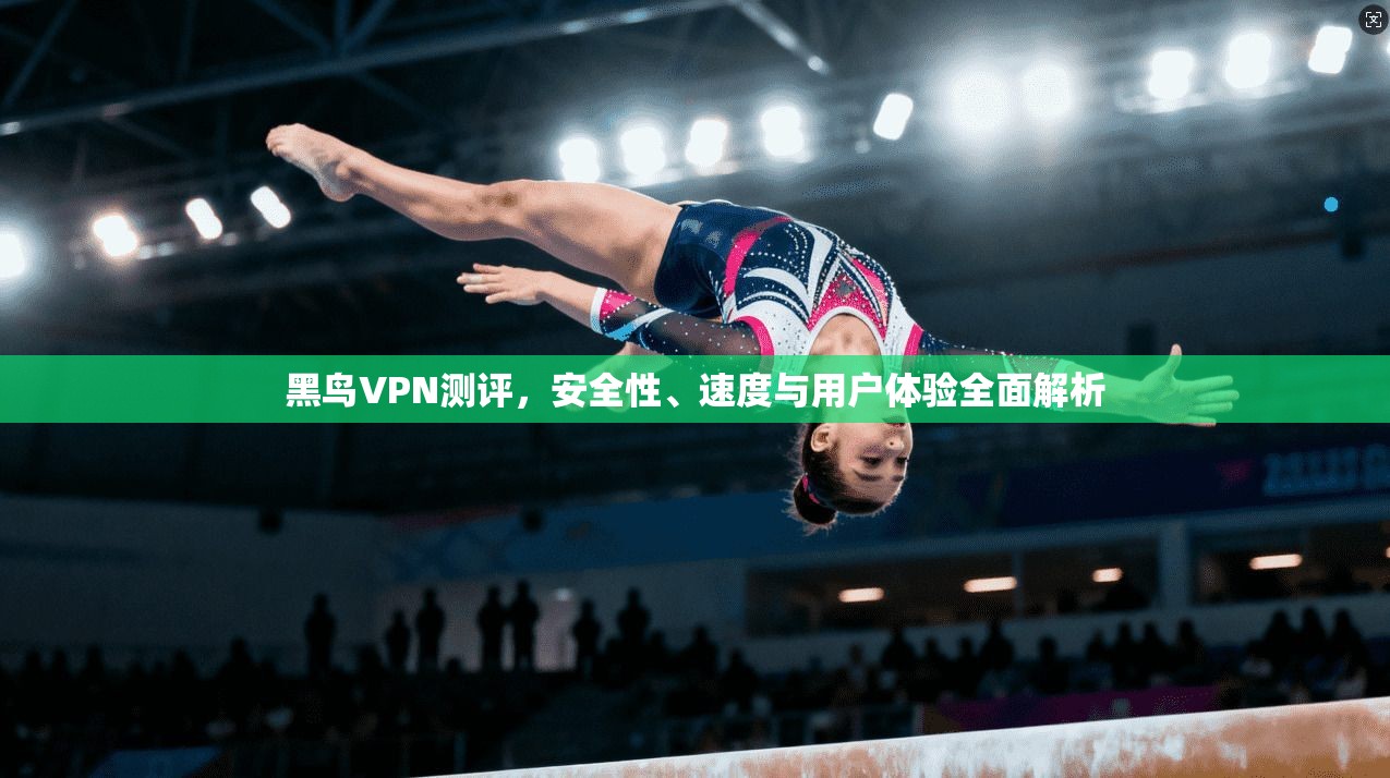 黑鸟VPN测评，安全性、速度与用户体验全面解析