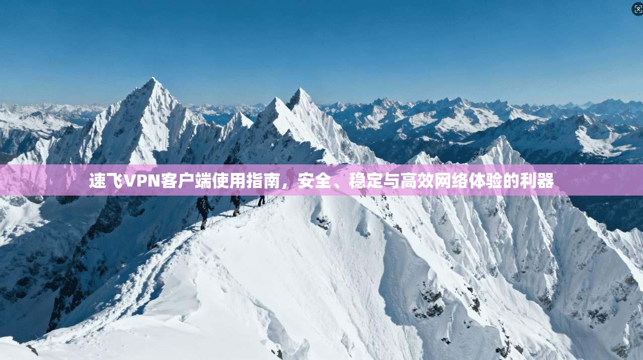 速飞VPN客户端使用指南，安全、稳定与高效网络体验的利器