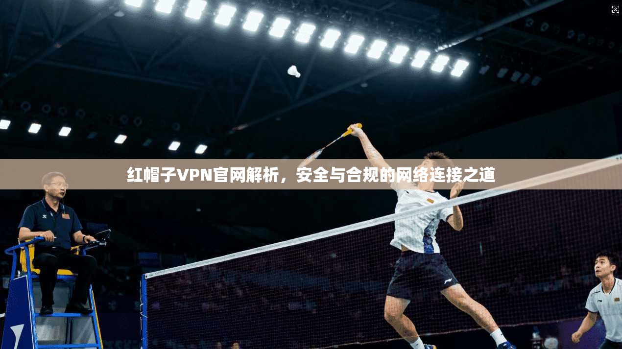 红帽子VPN官网解析，安全与合规的网络连接之道