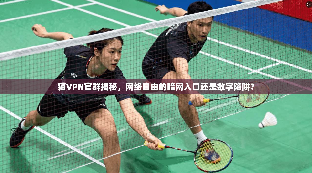 猫VPN官群揭秘，网络自由的暗网入口还是数字陷阱？
